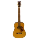 Headway ヘッドウェイ HCM-600M アコギ アコースティックギター