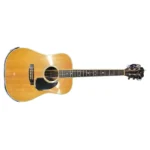 MARTIN マーチン D-35  アコースティックギター 1977年製