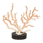 珊瑚 サンゴ 原木 置物