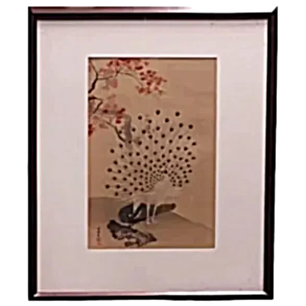 絵画 円山応挙 孔雀図