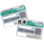 ANA株主優待券 2枚 有効期間 2023年11月30日まで