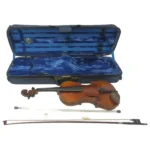 Giacint Bertlazzi Fece N17 バイオリン