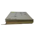 サイン入り 色紙 21枚 水島新司 貴花田 成田文男 高田次郎など