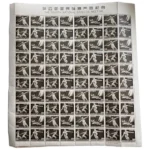 第四回国民体育大会80枚シート