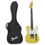 FENDER フェンダー JAPAN TELECASTERジャパンテレキャスター BECKモデル