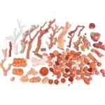 珊瑚 サンゴおまとめ 原木やルースなどの素材他