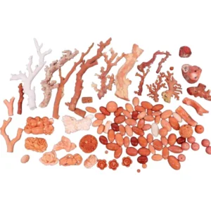 珊瑚 サンゴおまとめ 原木やルースなどの素材他