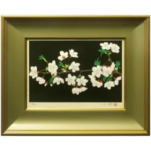 絵画 中島千波 櫻花