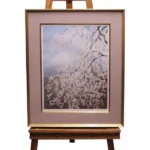 絵画 中島千波 櫻花富士