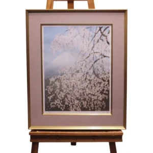 絵画 中島千波 櫻花富士