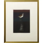 絵画 加山又造 千鳥とほね貝