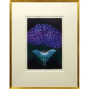 絵画 加山又造 紫陽花