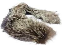 サガ