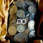 外国コイン まとめ 11.2kg 海外のお金 アンティークコイン アメリカ 中国 貨幣 古銭 硬貨 海外銭 コレクション