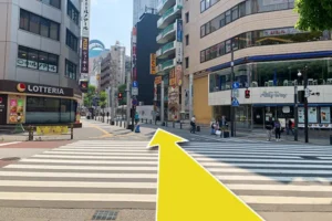 横断歩道を渡って行きます