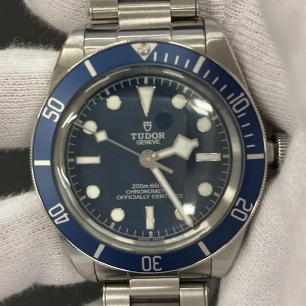 チューダー　ブラックベイ　 79030B