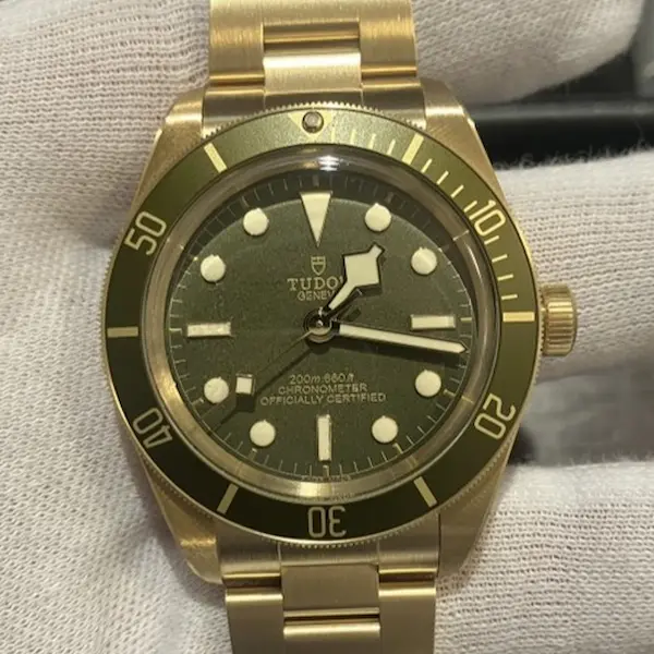 チューダー　ブラックベイ　79018V