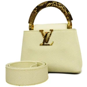 ルイ・ヴィトン カプシーヌMINI N98477