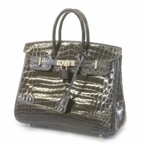 エルメス バーキン25 ニロティカス シルバー金具 A刻印