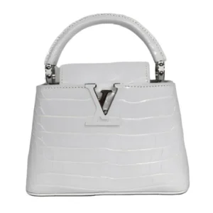 ルイ・ヴィトン カプシーヌMM N93716