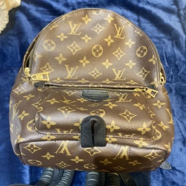 ルイヴィトン　パームスプリングス　バッグパック