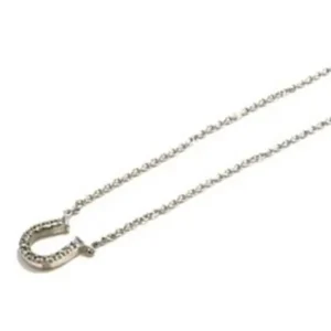 ティファニー メトロホースシュー ネックレス