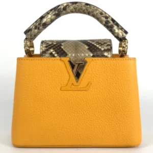 ルイ・ヴィトン パルナセア カプシーヌMINI