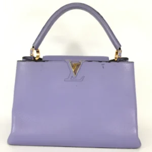 ルイ・ヴィトン パルナセア カプシーヌMM