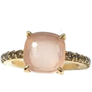 ポメラート リングヌード