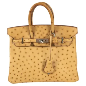 エルメス バーキン25 ハンドバッグ オーストリッチ 🄽刻印 シルバー金具