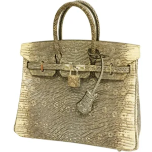 エルメス バーキン25 ハンドバッグ リザード □N刻印