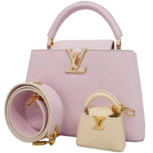 ルイ・ヴィトン カプシーヌBB ハンドバッグ M24120