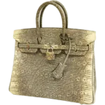 エルメス バーキン25 ハンドバッグ リザード □N刻印