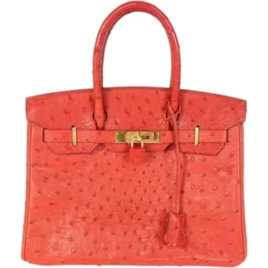 エルメス バーキン30 ハンドバッグ オーストリッチ □E刻印 ゴールド金具