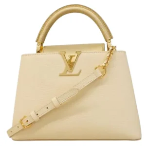 ルイ・ヴィトン エキゾチック カプシーヌBB ハンドバッグ M23702