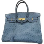 エルメス バーキン35 ハンドバッグ オーストリッチ □E刻印 ゴールド金具