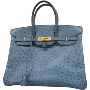 エルメス バーキン35 ハンドバッグ オーストリッチ □E刻印 ゴールド金具