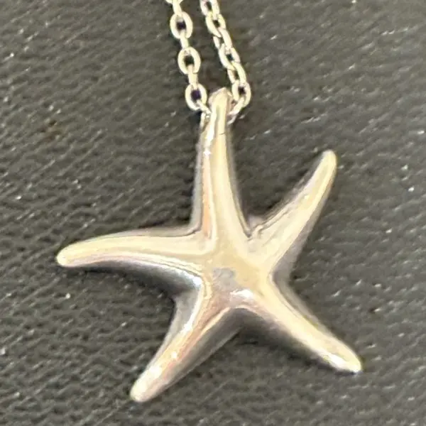 ティファニー　スターフィッシュ　ネックレス