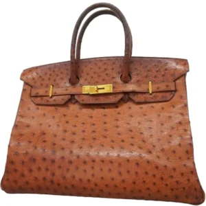 エルメス バーキン35 ハンドバッグ オーストリッチ ○X刻印 ゴールド金具