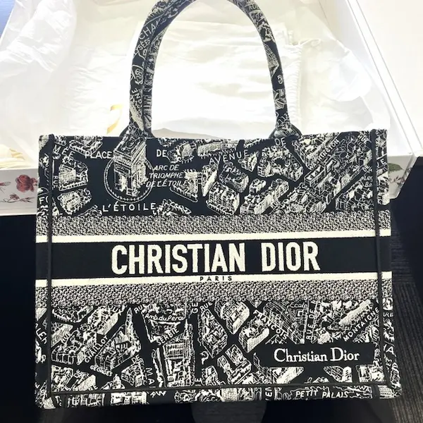 ディオール　ブックトート　プラン ドゥ パリ