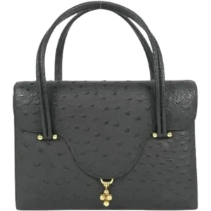 エルメス ハンドバッグ オーストリッチ ○G刻印 ゴールド金具