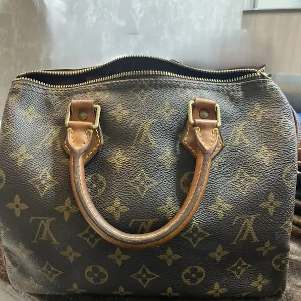 ルイ・ヴィトン　モノグラム　スピーディ