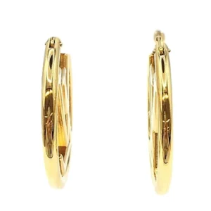 ルイヴィトン フープルイーズ ピアス イヤリング