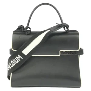 デルヴォー タンペートMM ハンドバッグ レザー