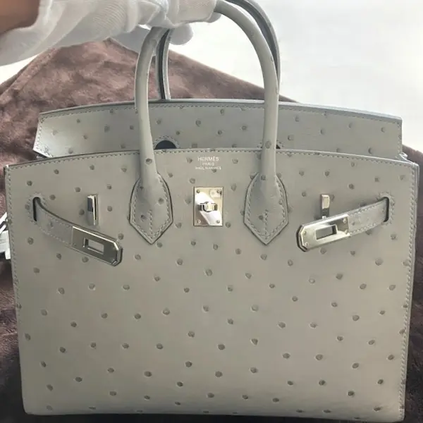 エルメス　バーキン25　オーストリッチ　W刻印