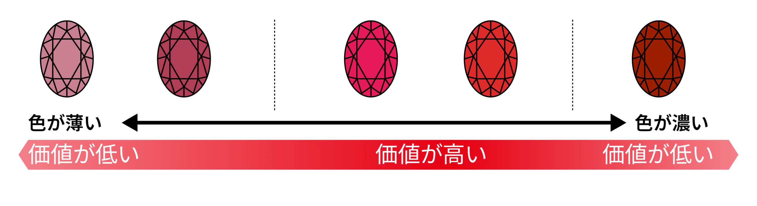 カラー
