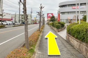 そのまま150mほど歩くとアオキスーパーの看板が見えてきます。
