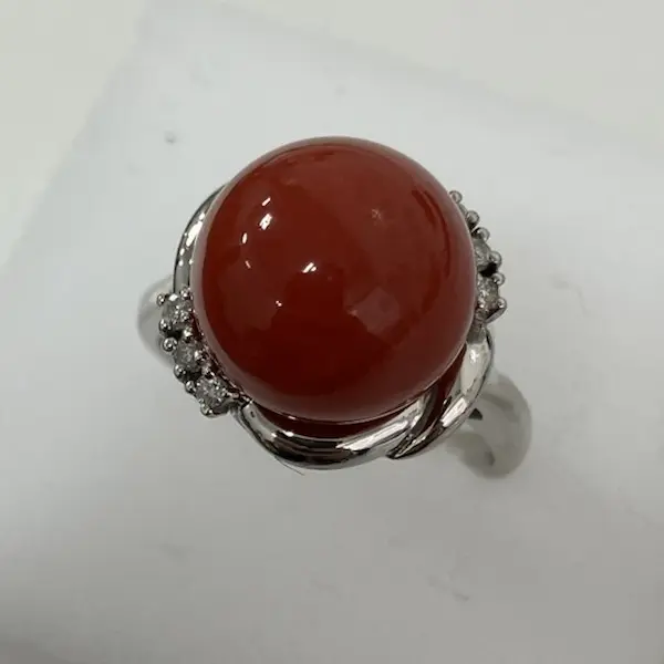 珊瑚（サンゴ）　12㎜