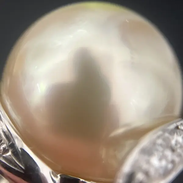 パール　11.4㎜