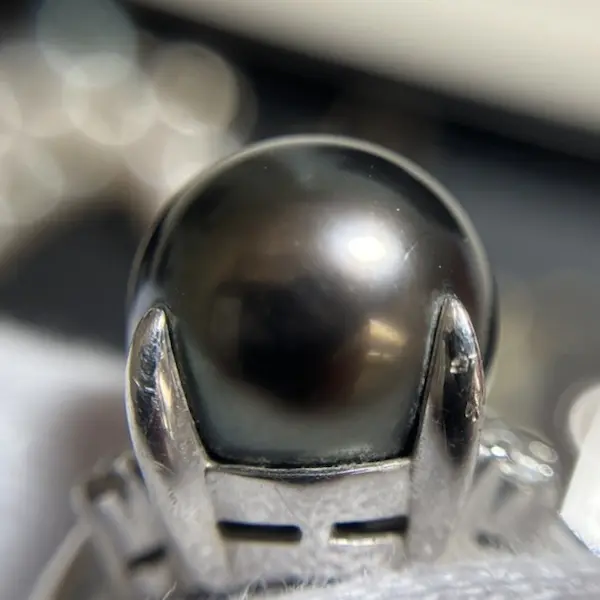 ブラックパール　10.3㎜